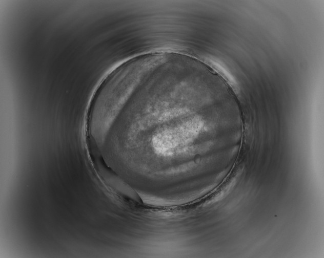 X0000094220948200711161846