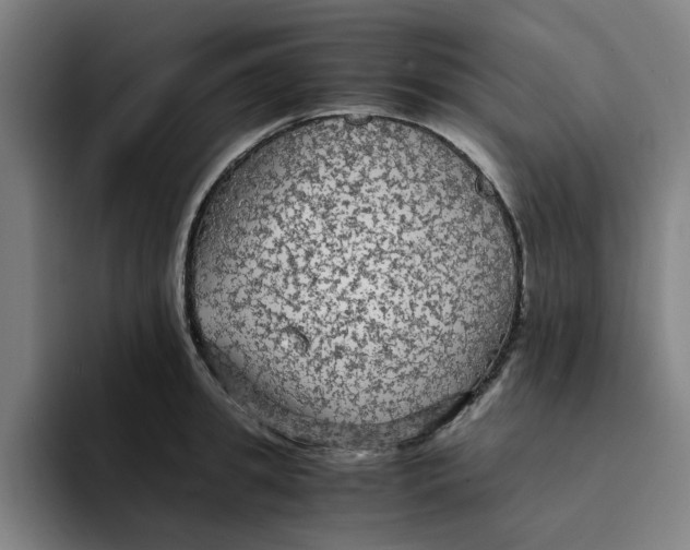 X0000094220949200711161846