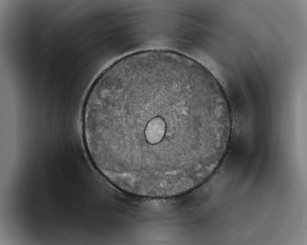 X0000094220950200711161846