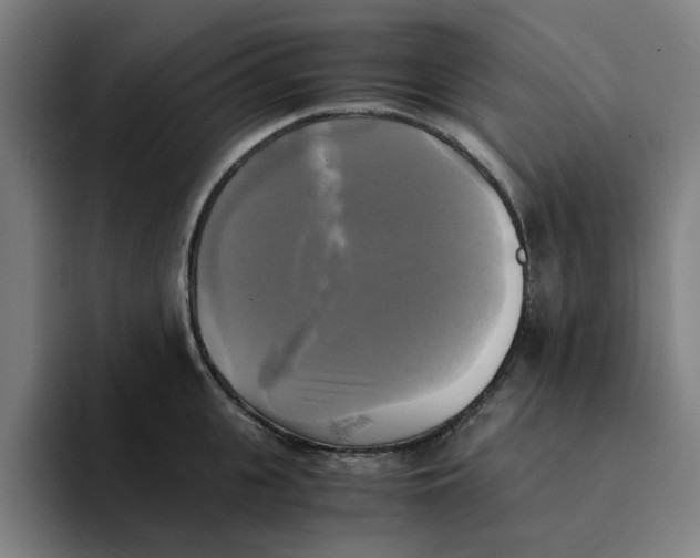 X0000094220951200711161846