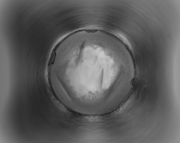 X0000094220952200711161846