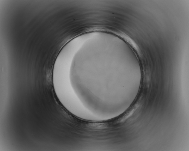 X0000094220953200711161846