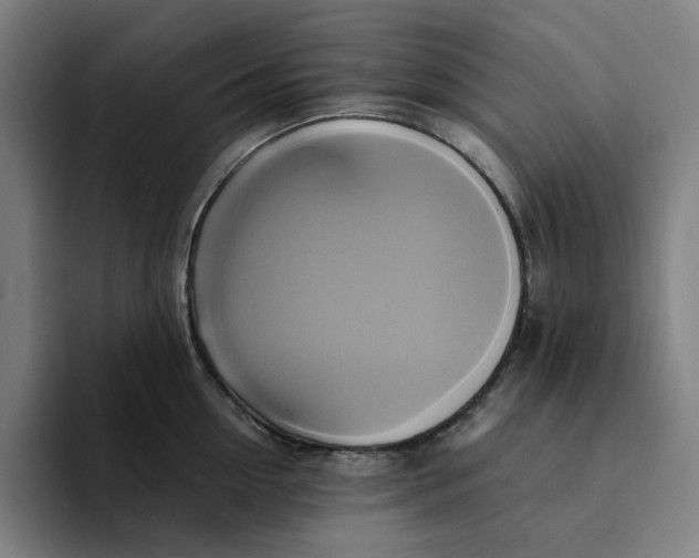 X0000094220954200711161846