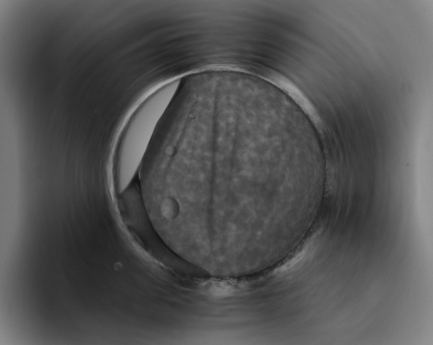 X0000094220955200711161846