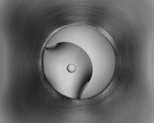 X0000094220956200711161846