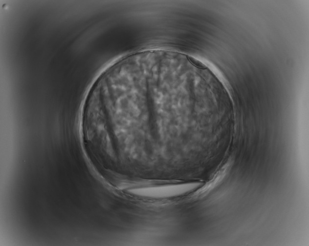 X0000094220957200711161846