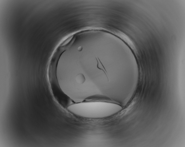 X0000094220958200711161846