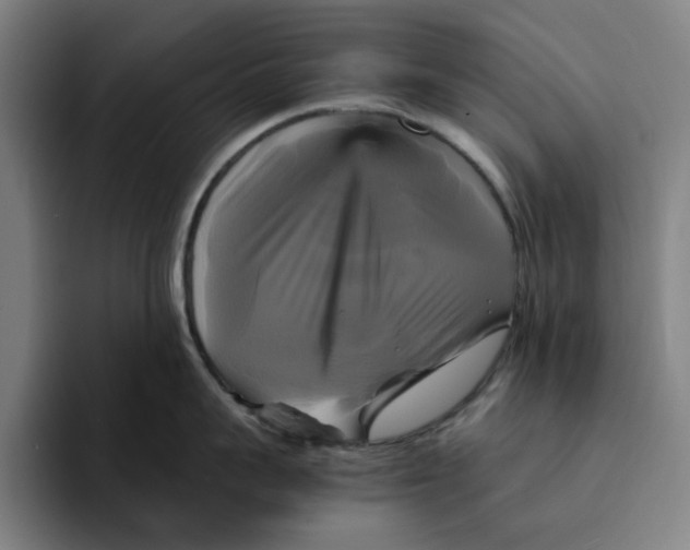 X0000094220959200711161846