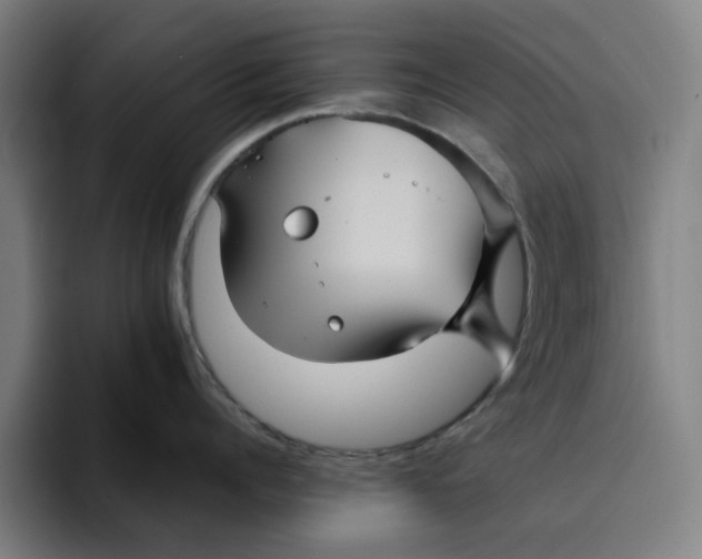 X0000094220960200711161846