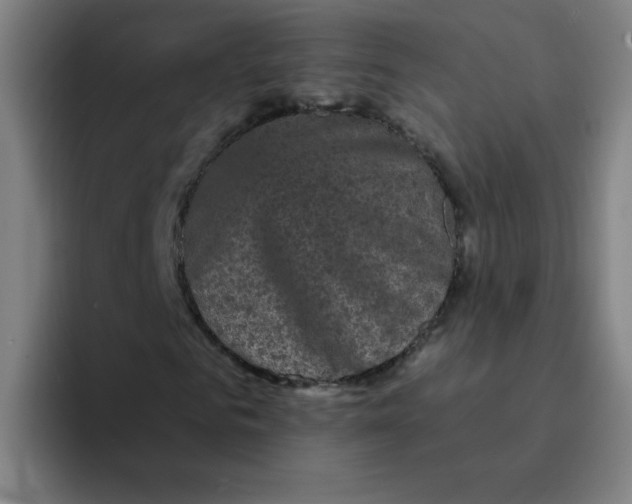 X0000094220961200711161846