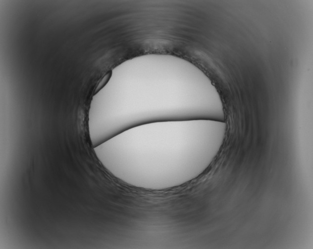 X0000094220964200711161845