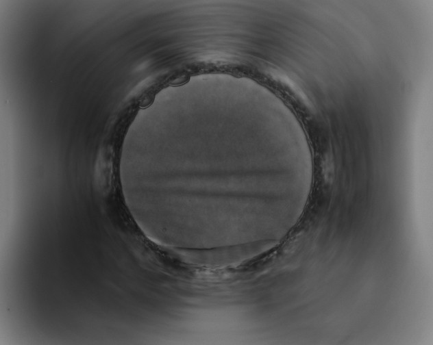 X0000094220968200711161845