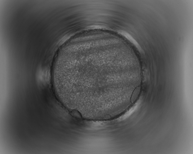 X0000094220969200711161845