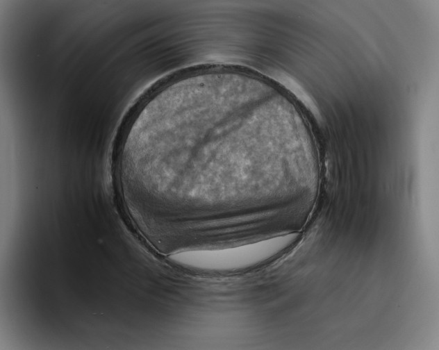 X0000094220972200711161845