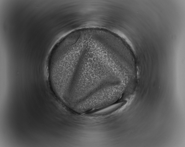 X0000094220973200711161845