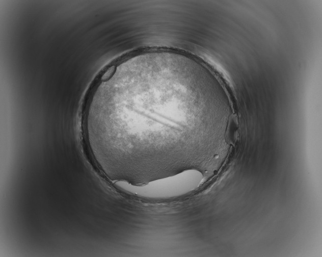 X0000094220976200711161845