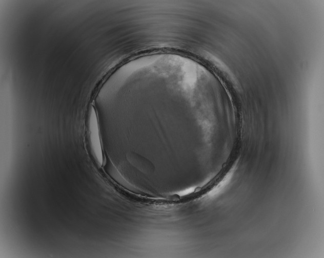 X0000094220977200711161845