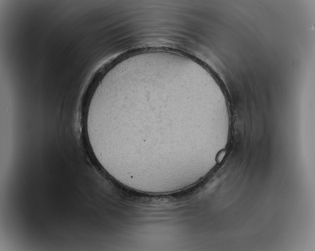 X0000094220979200711161845