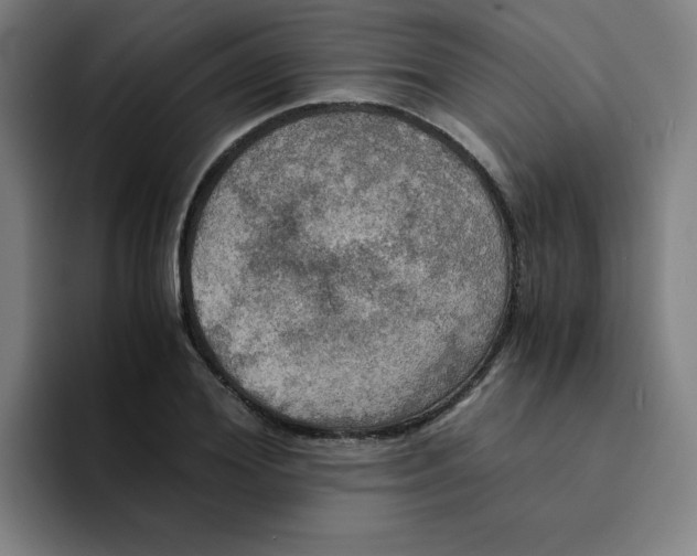 X0000094220980200711161845