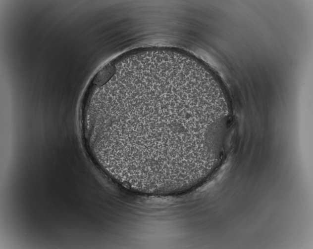 X0000094220981200711161845