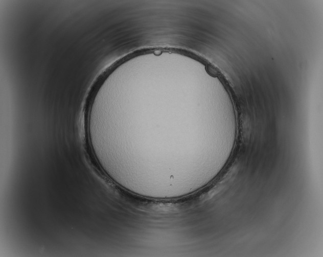 X0000094220982200711161845