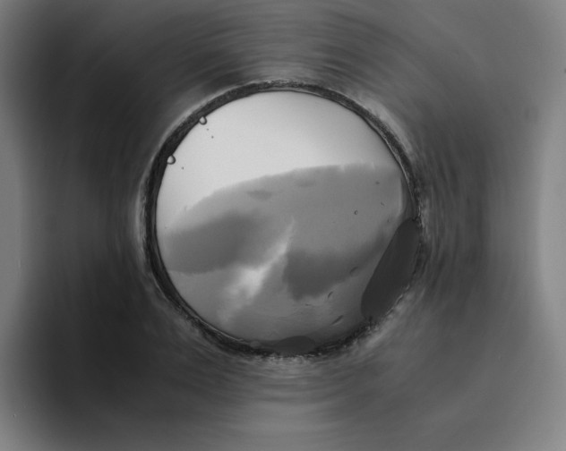 X0000094220983200711161845