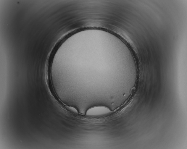 X0000094220984200711161845