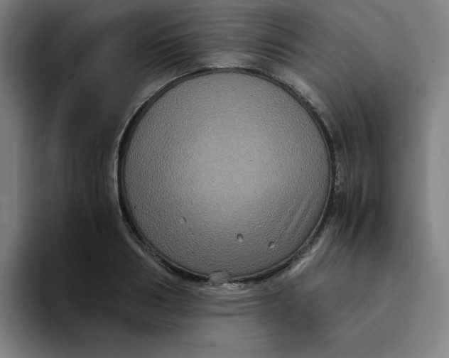 X0000094220986200711161845