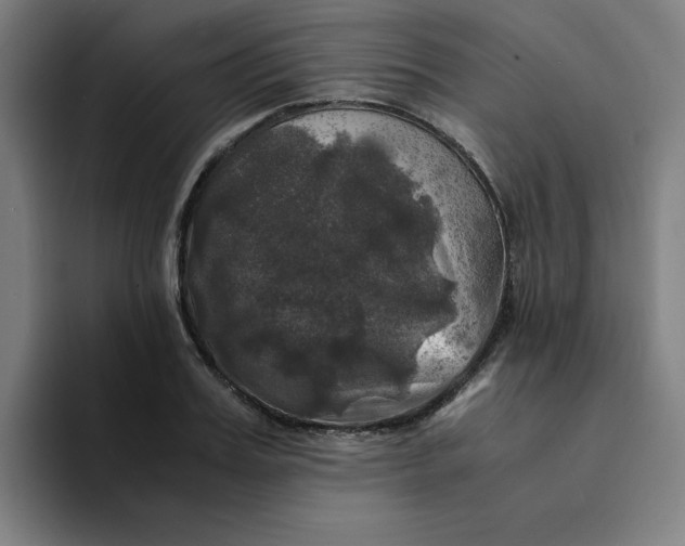 X0000094220987200711161845