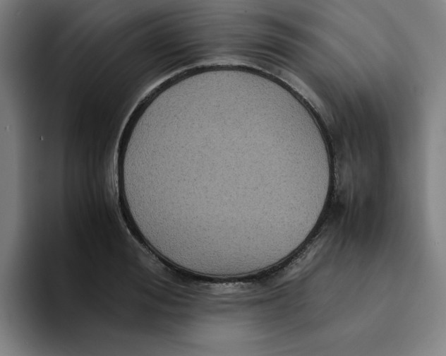 X0000094220988200711161845