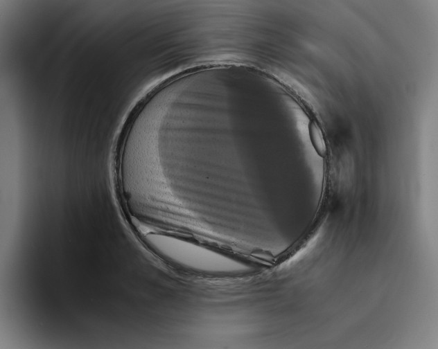 X0000094220989200711161845