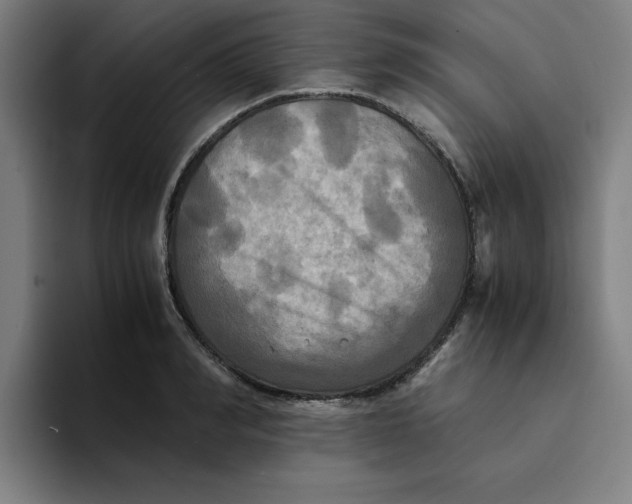 X0000094220990200711161845