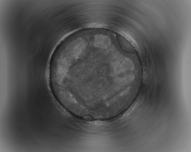 X0000094220992200711161845