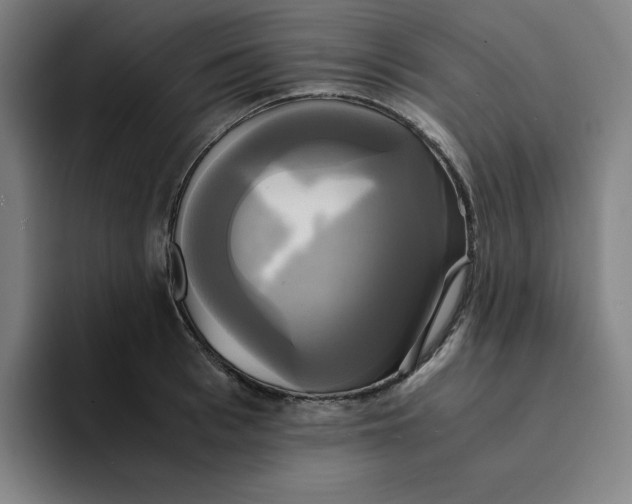 X0000094220993200711161845