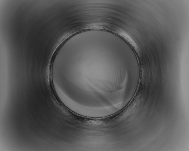 X0000094220994200711161845