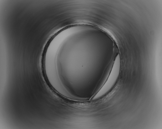 X0000094220995200711161845