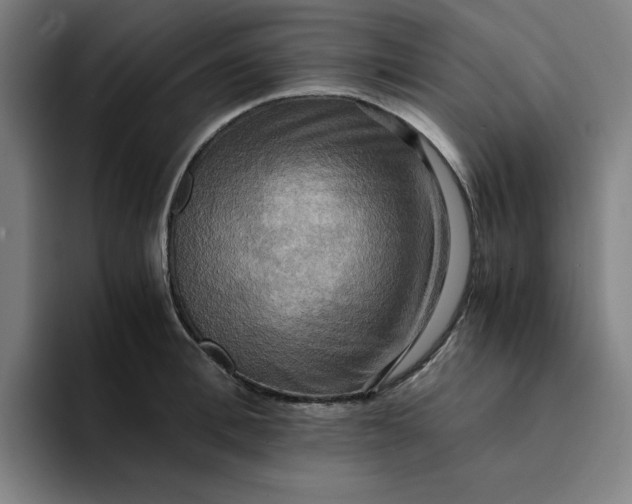 X0000094220996200711161845