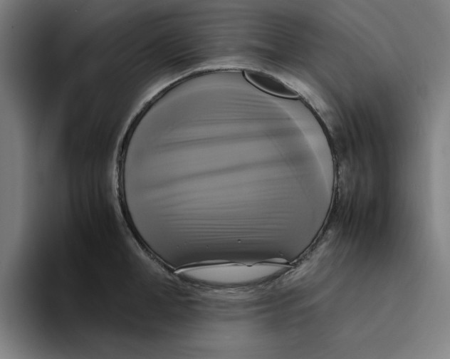 X0000094220998200711161845