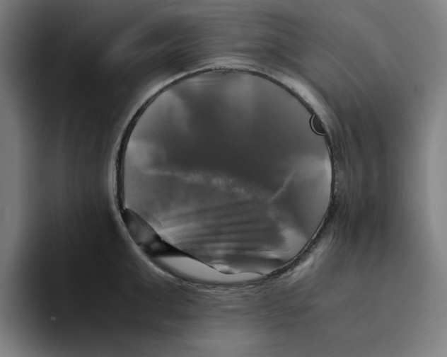 X0000094220999200711161845