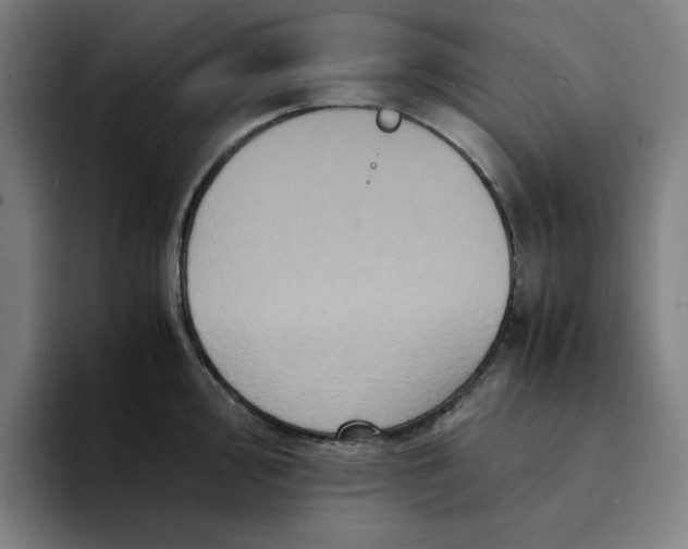 X0000094221000200711161845