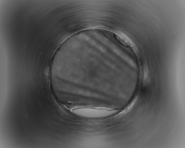 X0000094221001200711161845