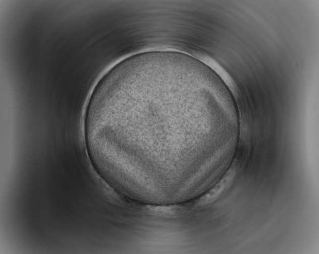 X0000094221004200711161845