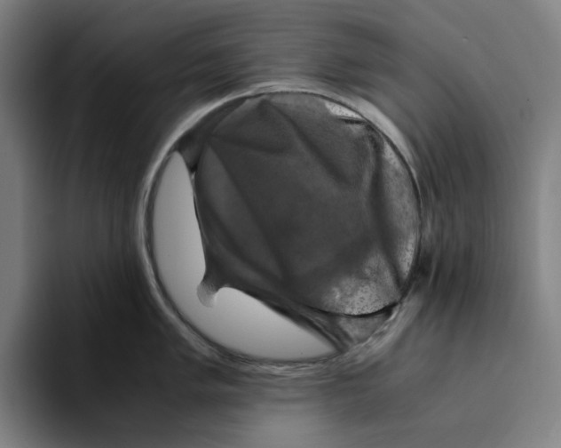 X0000094221005200711161845