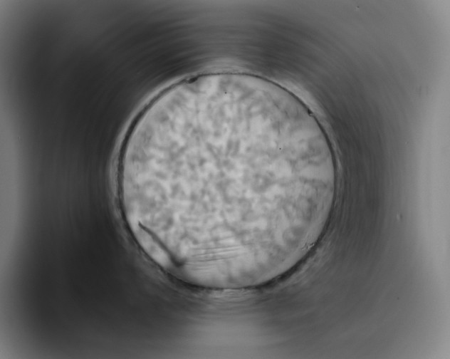 X0000094221008200711161845