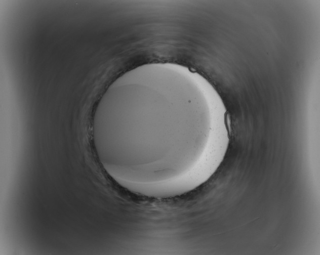 X0000094221009200711161844