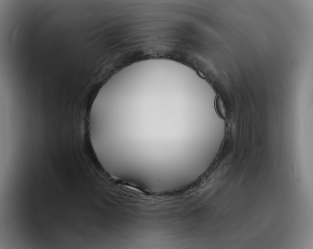 X0000094221012200711161844