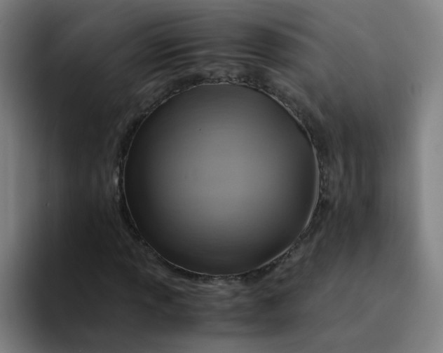 X0000094221013200711161844