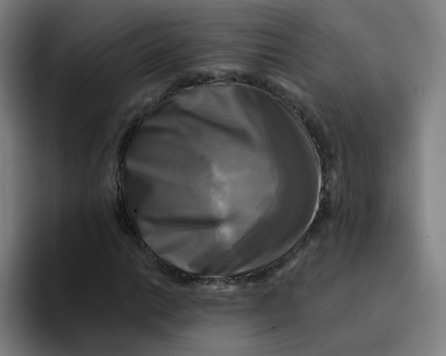 X0000094221014200711161844