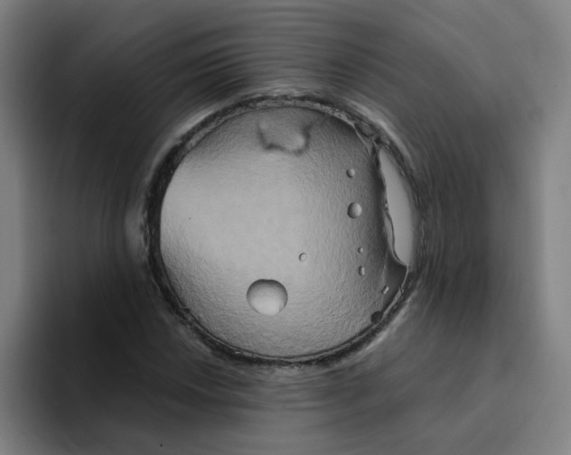 X0000094221018200711161844