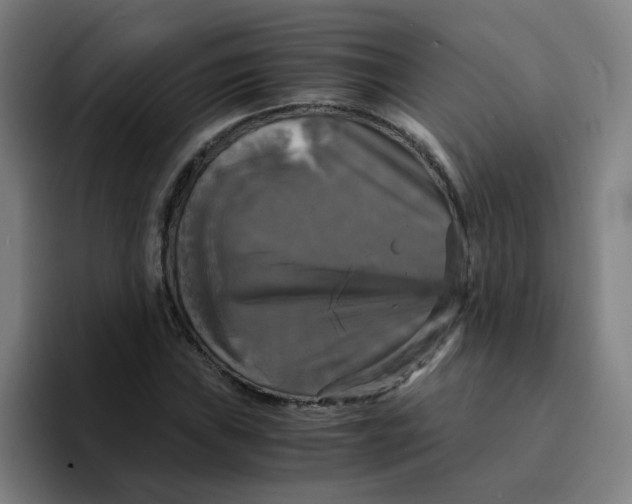 X0000094221019200711161844